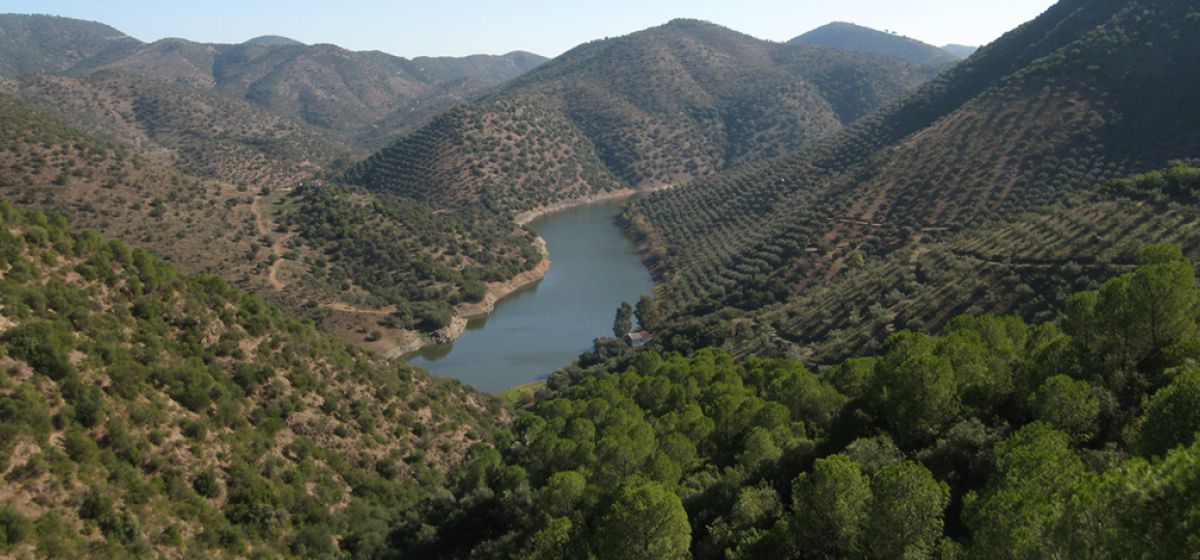 Grupo de Desarrollo Rural Sierra Morena Cordobesa —